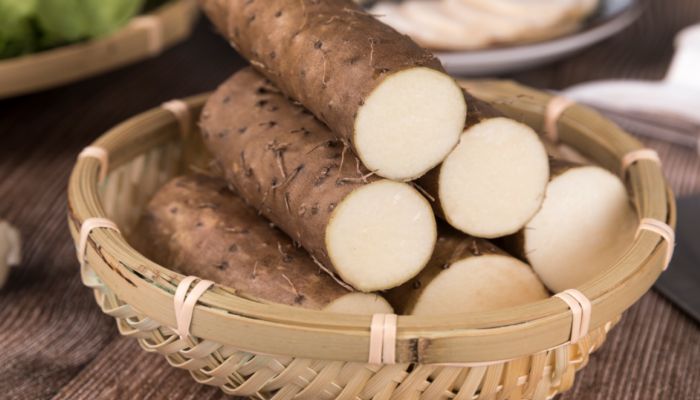 铁棍山药的功效与作用 铁棍山药图片